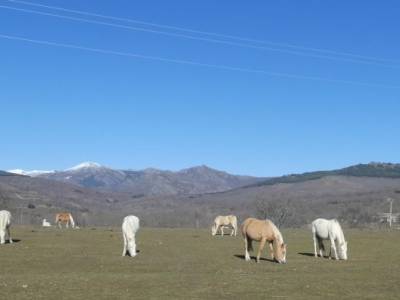 Rincones,Pueblos,Sierra Norte de Madrid; cuchillos de contreras cañon de rio lobos rutas ruta de los